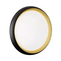 Настенно-потолочный светильник SONEX Tofiq black 7651/DL пластик белый 